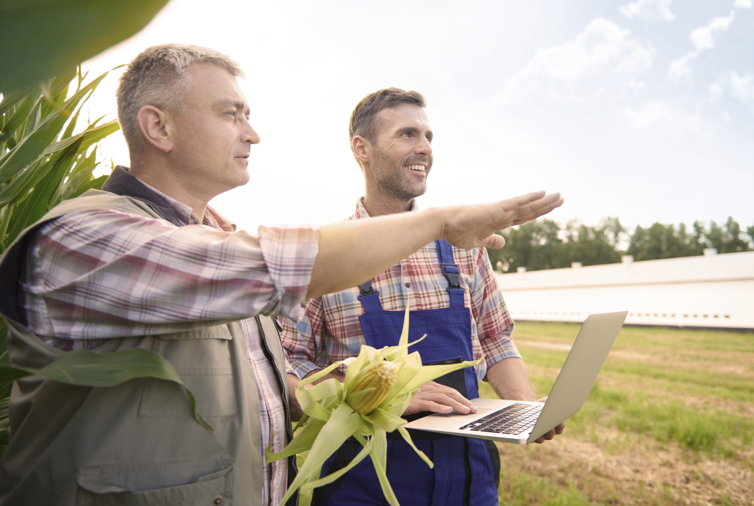 Újabb WoW-webinárium a gyakorlatban megvalósuló agrárinnovációkról – Hogyan támogathatjuk a gazdákat az innovációban?