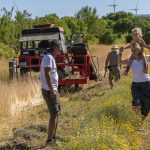 ARIA 2025 - még lehet szavazni! - Két magyar projekt is döntős