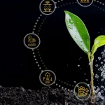 Jelentkezz résztvevőként! – EU KAP Hálózat konferencia Hamburgban