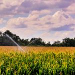 Gazdálkodói igényfelmérés indul az öntözéses képzések fejlesztéséért