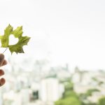 A karbongazdálkodás aktualitásai – Az uniós jogalkotás menetrendje