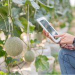 Felhívás! - Mesterséges intelligencia az agrifood termékpályákon – szakmai workshop Budapesten