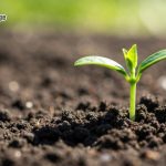 OPERATÍV CSOPORTBÓL ÉLŐ LABORATÓRIUM: SOIL-X-CHANGE üzemlátogatás és workshop Fülöpházán