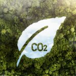 Az európai önkéntes karbonpiac kialakítása – CRCF aktualitások és friss fejlemények