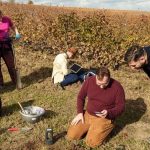 Teszteld az AI4SoilHealth új talajmonitoring-eszközét!